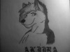 Avatar de Usuario