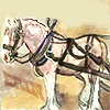 Avatar de Usuario